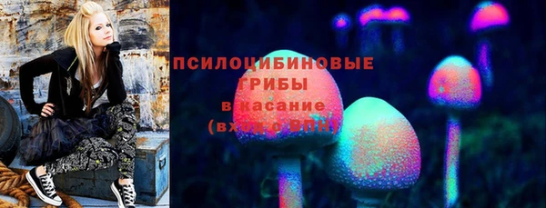 первитин Алексин