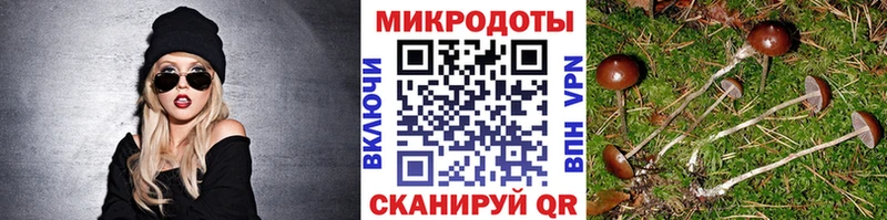 Галлюциногенные грибы GOLDEN TEACHER  наркота  Феодосия 